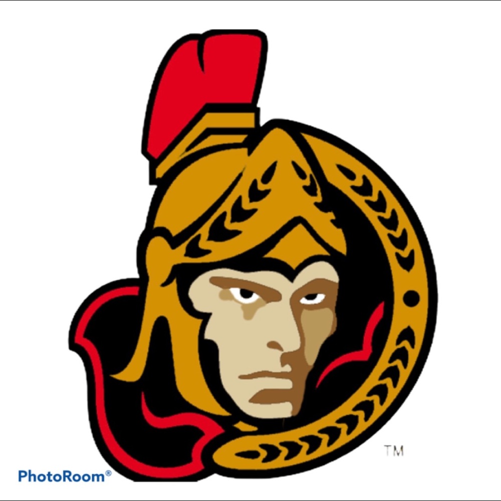 NWT NHL Ottawa Senators Half Zip - Picture 2 of 16